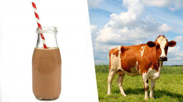 why taste bitter cream from cow's milk