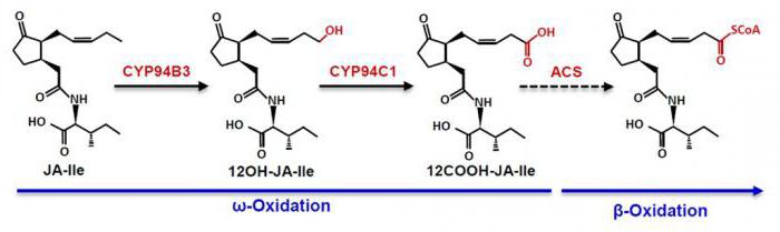 inhibitörleri mikrosomalnogo oksidasyon