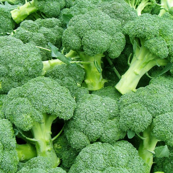 Lahana brokoli