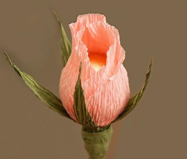 Bud rose from corrugated paper