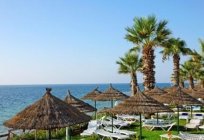 Tunus: «Orient Palace» - güzel bir otel Суссе