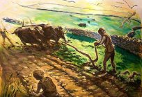 Qual o milênio, surgiu a agricultura? Quais são as áreas do mundo, os primeiros, começaram a cultivar a terra?