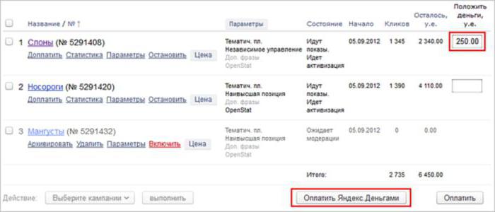 Yandex direkte Kosten