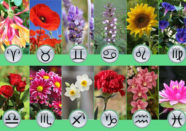 flowers by zodiac sign