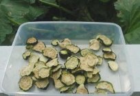 How to store a zucchini? For the winter stored vegetables in different ways