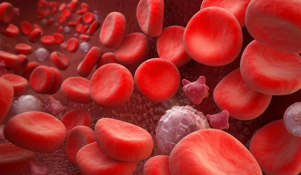 estrutura de tipos de hemoglobina