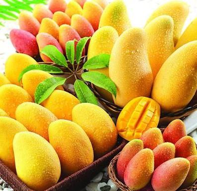 benefit of mango