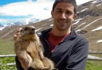 A marmota (байбак) um animal