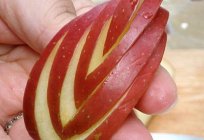 Ausführlich darüber, wie schön Apfel in Scheiben schneiden