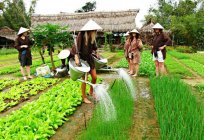 The irrigation system is a water supply to the fields. Irrigation