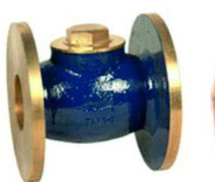 install a check valve on the sewer