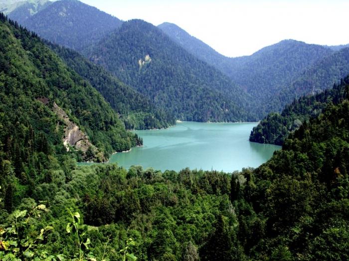 pensão эвкалиптовая bosque abkhazia viajante