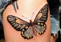 Butterfly tattoo on the foot girls: meaning and photos