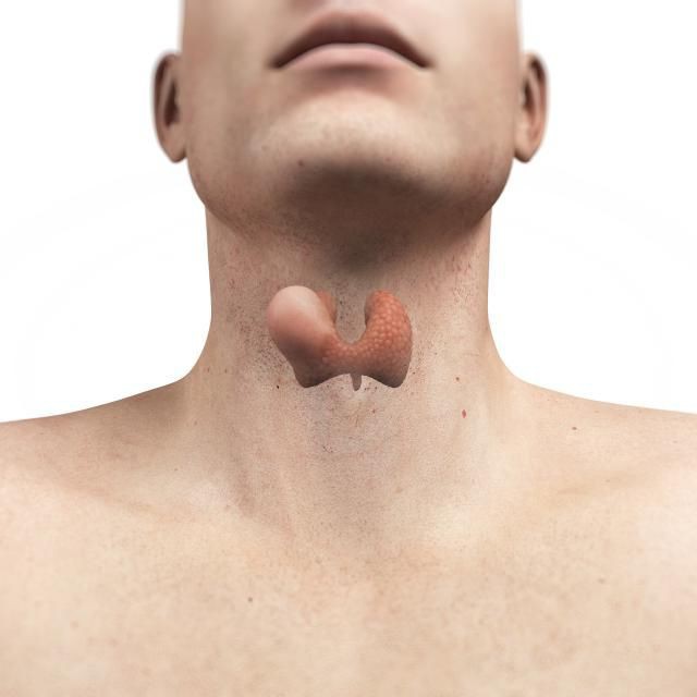 ¿Qué tamaño de los nodos de la tiroides son peligrosos
