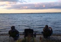 湖Chebakul(Kunashakskogo地区のチェリャビンスク地域:レジャー、釣り、レビュー
