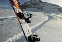Seçin snowboard DC: şekil ve işaretleme özellikleri