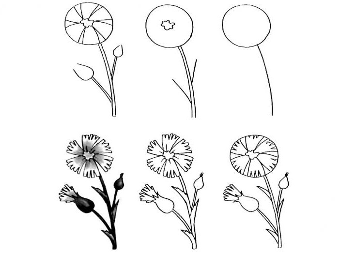 How to draw a flower