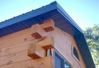A casa de madeira: viajante, características de construção