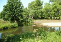 Główne rzeki Tatarstanu: krótki opis, zdjęcia