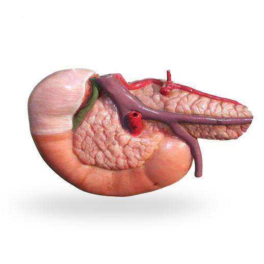 胰腺当pancreatite