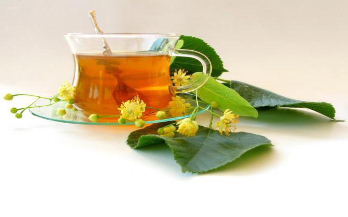 chá de flores de tília