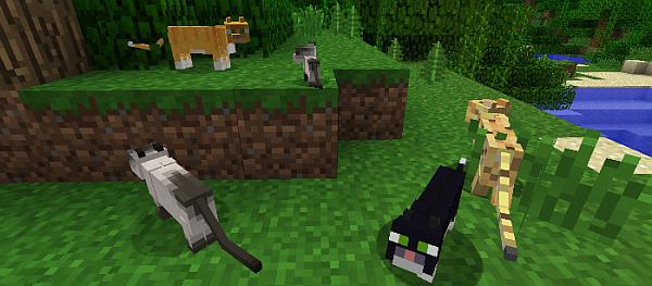 How to find a cat in Minecraft