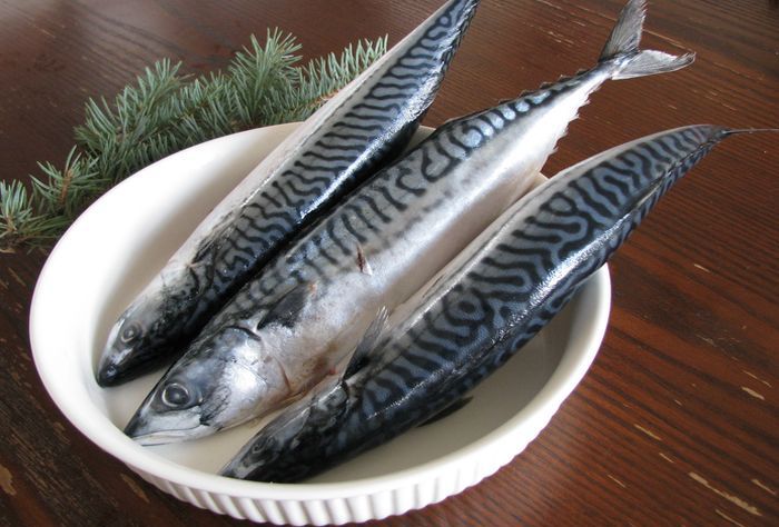 Salted mackerel at home