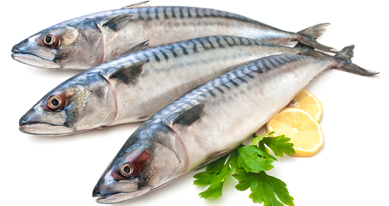Salted mackerel in the home quickly