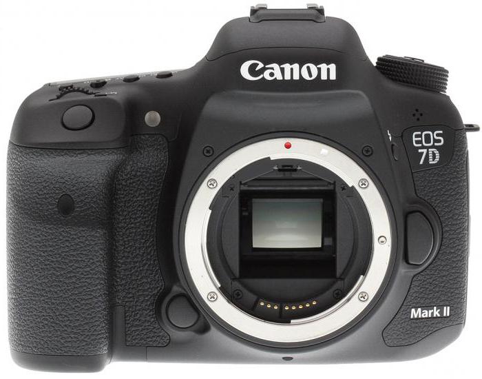 Canon EOS 7D Mark II الجسم