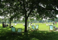最好的伦敦公园的圣詹姆斯*海德公园，Richmond，维多利亚，肯辛顿花园绿色公园