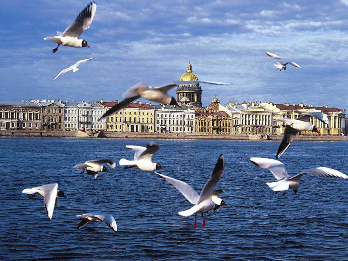 Sehenswürdigkeiten in St. Petersburg