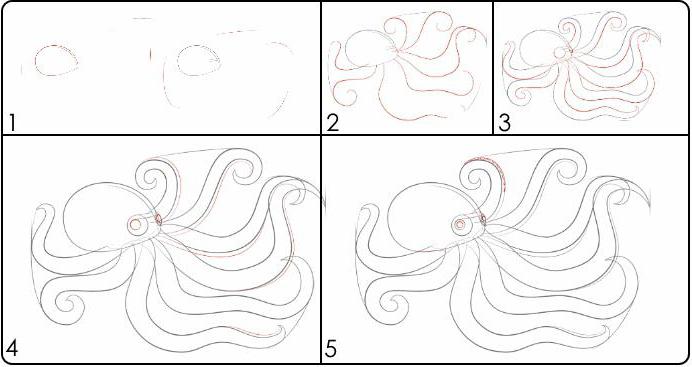 كيفية رسم الأخطبوط