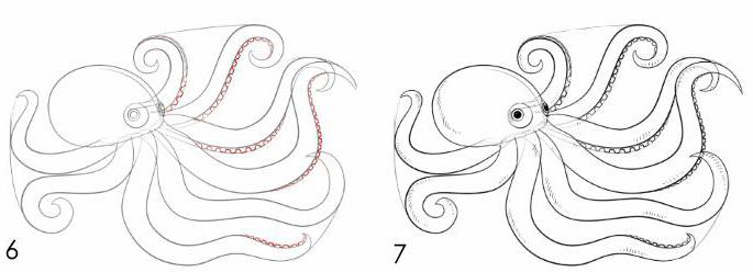 如何绘制一章鱼用铅笔阶段