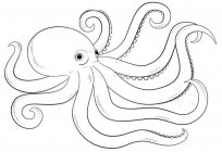 How to draw an octopus - step by step lesson