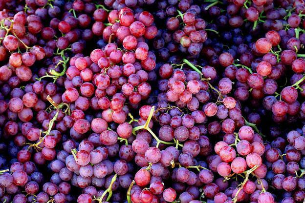 Saft aus Weintrauben