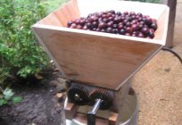 Triturador de uva: a variedade e as características técnicas