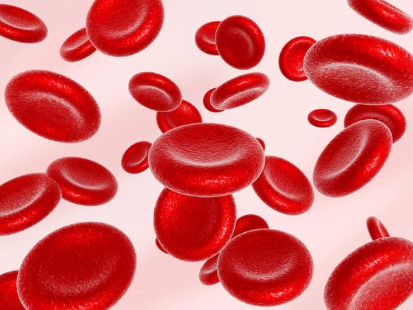 o que levanta a hemoglobina