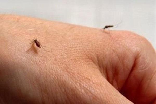 repelente contra mosquitos para грудничка