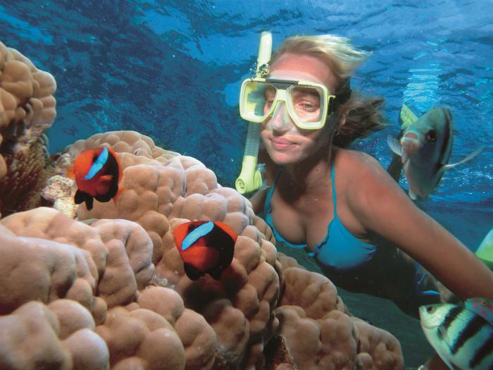 os recifes de coral da foto