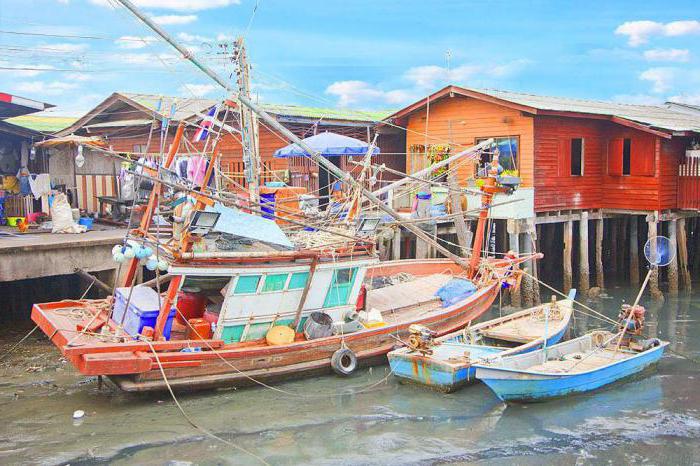 سوق السمك في شمال باتايا