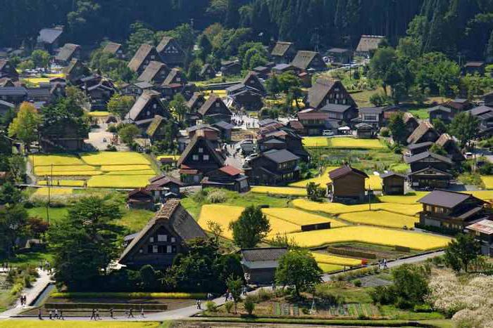 规划和建设城市和农村定居点