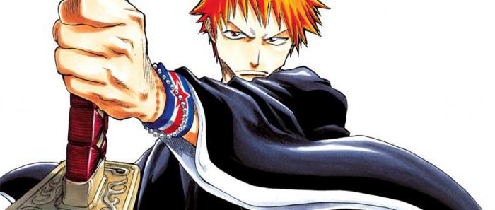 Anime Bleach Beschreibung