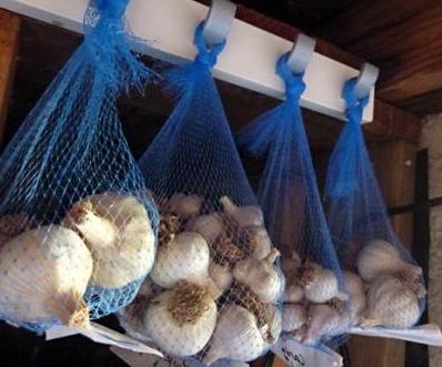 where to store garlic