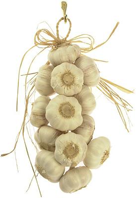 how to store garlic in the winter in the home