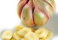 Vitamins all year round. How to store garlic in the winter at home?