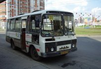 The bus the GROOVE-3205 and its modification of PAZ-32053
