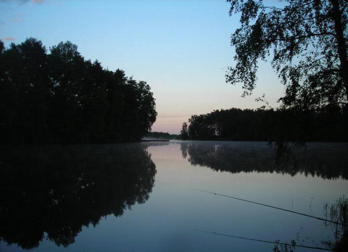 луковое lago noginskiy el área