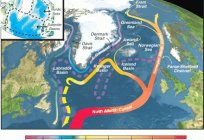 A corrente do atlântico Norte. Água de oceano Ártico. O esquema de correntes
