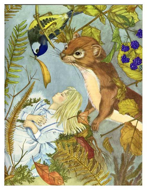 invent a fairy tale about animals