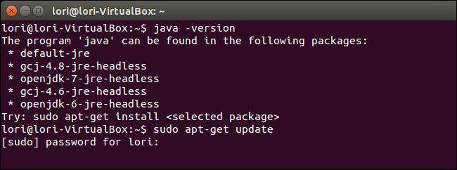 how to upgrade java version